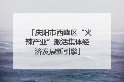 庆阳市西峰区“火辣产业”激活集体经济发展新引擎