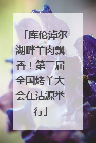 库伦淖尔湖畔羊肉飘香！第三届全国烤羊大会在沽源举行