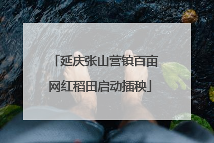 延庆张山营镇百亩网红稻田启动插秧
