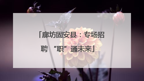 廊坊固安县：专场招聘 “职”通未来