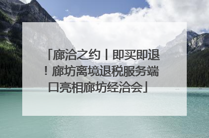 廊洽之约丨即买即退！廊坊离境退税服务端口亮相廊坊经洽会