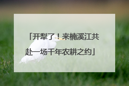开犁了！来楠溪江共赴一场千年农耕之约