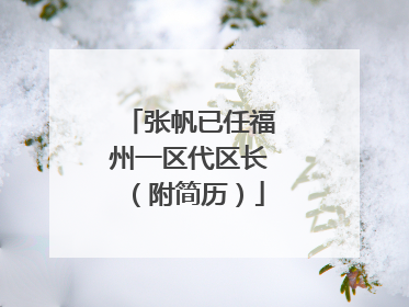 张帆已任福州一区代区长（附简历）