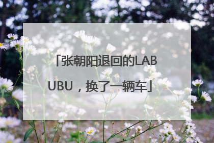 张朝阳退回的LABUBU，换了一辆车