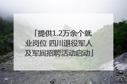 提供1.2万余个就业岗位 四川退役军人及军属招聘活动启动