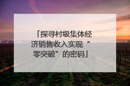 探寻村级集体经济销售收入实现“零突破”的密码