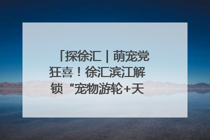 探徐汇｜萌宠党狂喜！徐汇滨江解锁“宠物游轮+天台乐园”双玩法