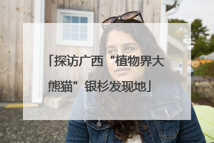 探访广西“植物界大熊猫”银杉发现地