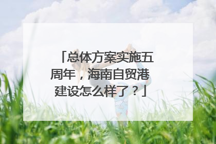 总体方案实施五周年，海南自贸港建设怎么样了？