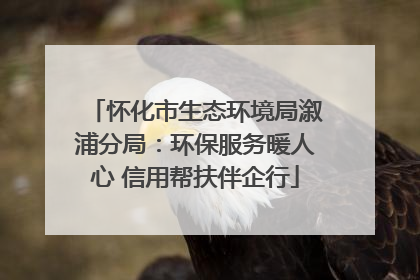 怀化市生态环境局溆浦分局：环保服务暖人心 信用帮扶伴企行