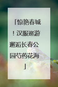 惊艳春城！汉服巡游邂逅长春公园芍药花海