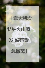 意大利埃特纳火山喷发 游客紧急撤离
