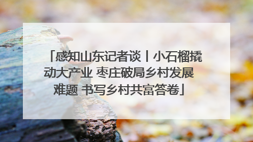 感知山东记者谈丨小石榴撬动大产业 枣庄破局乡村发展难题 书写乡村共富答卷