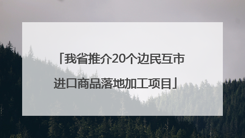 我省推介20个边民互市进口商品落地加工项目