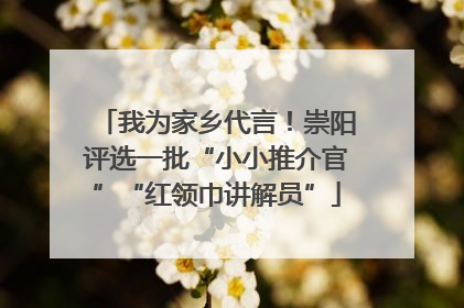 我为家乡代言！崇阳评选一批“小小推介官”“红领巾讲解员”