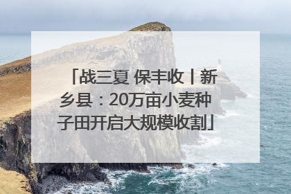 战三夏 保丰收丨新乡县：20万亩小麦种子田开启大规模收割