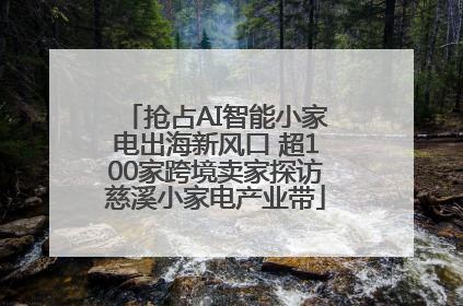 抢占AI智能小家电出海新风口 超100家跨境卖家探访慈溪小家电产业带