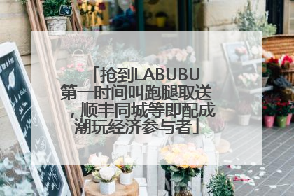 抢到LABUBU第一时间叫跑腿取送，顺丰同城等即配成潮玩经济参与者