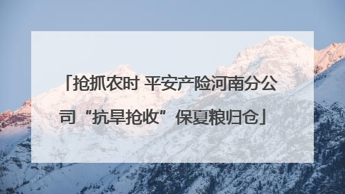 抢抓农时 平安产险河南分公司“抗旱抢收”保夏粮归仓