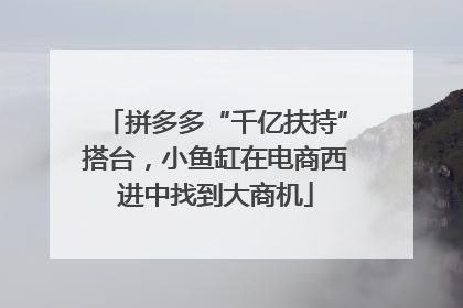 拼多多“千亿扶持”搭台，小鱼缸在电商西进中找到大商机
