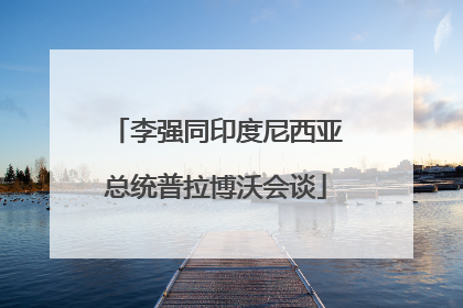 李强同印度尼西亚总统普拉博沃会谈