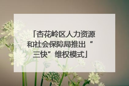杏花岭区人力资源和社会保障局推出“三快”维权模式