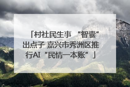 村社民生事 “智囊”出点子 嘉兴市秀洲区推行AI“民情一本账”