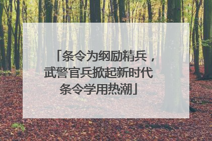 条令为纲励精兵，武警官兵掀起新时代条令学用热潮
