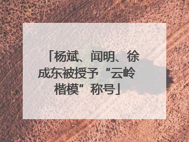 杨斌、闻明、徐成东被授予“云岭楷模”称号