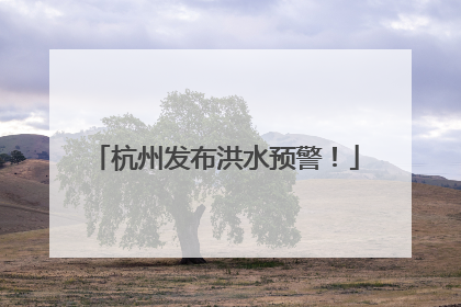 杭州发布洪水预警！