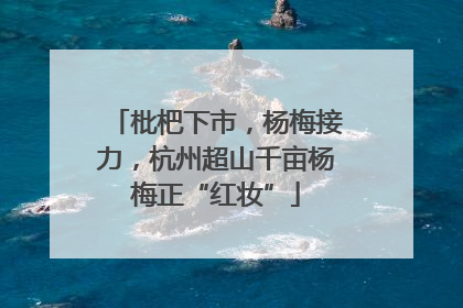 枇杷下市，杨梅接力，杭州超山千亩杨梅正“红妆”