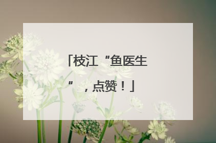 枝江“鱼医生”，点赞！