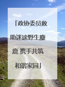 政协委员救助迷途野生麋鹿 携手共筑和谐家园