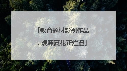 教育题材影视作品：观照夏花正烂漫