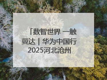 数智世界 一触冀达｜华为中国行2025河北沧州新质生产力峰会成功举办