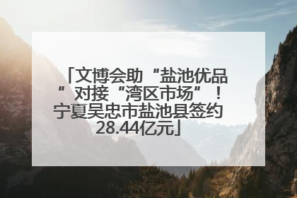 文博会助“盐池优品”对接“湾区市场”！宁夏吴忠市盐池县签约28.44亿元