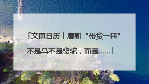 文博日历丨唐朝“带货一哥”不是马不是骆驼，而是……