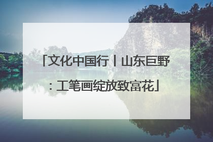 文化中国行丨山东巨野：工笔画绽放致富花