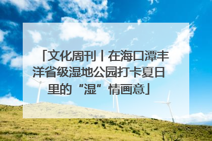 文化周刊丨在海口潭丰洋省级湿地公园打卡夏日里的“湿”情画意
