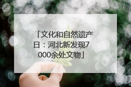 文化和自然遗产日：河北新发现7000余处文物
