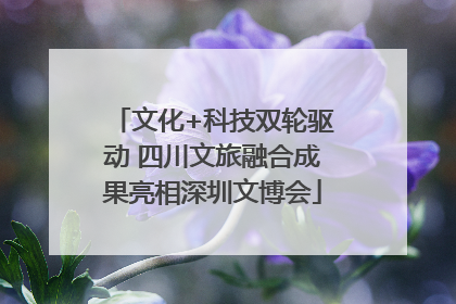 文化+科技双轮驱动 四川文旅融合成果亮相深圳文博会