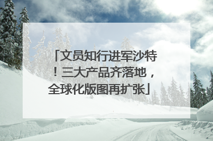 文员知行进军沙特！三大产品齐落地，全球化版图再扩张