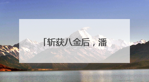 斩获八金后，潘展乐这样说……
