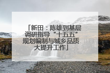 新田：陈雄到基层调研指导“十五五”规划编制与城乡品质大提升工作