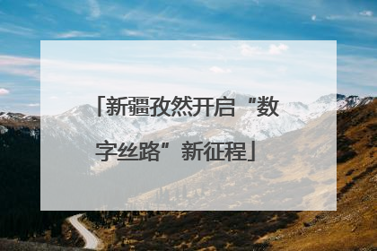 新疆孜然开启“数字丝路”新征程