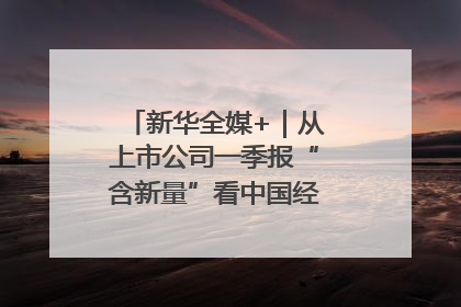 新华全媒+｜从上市公司一季报“含新量”看中国经济发展向“新”
