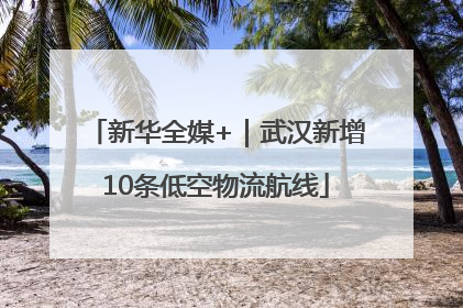 新华全媒+｜武汉新增10条低空物流航线