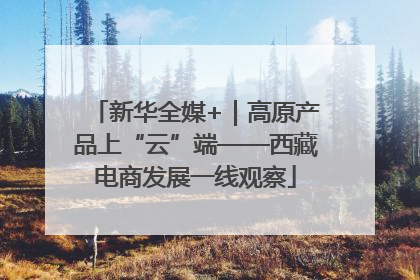 新华全媒+｜高原产品上“云”端——西藏电商发展一线观察