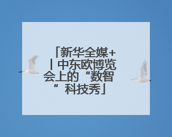 新华全媒+丨中东欧博览会上的“数智”科技秀