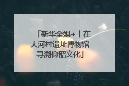 新华全媒+丨在大河村遗址博物馆寻溯仰韶文化